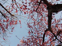 -苏州市运河公园-停车场