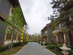 -龙门李家三旦羊肉汤馆