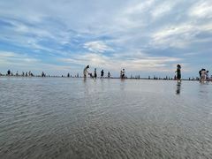 -奉贤海滩