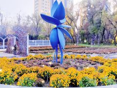 -黑龙江省森林植物园