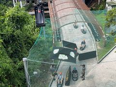 -圣淘沙天际线斜坡滑车