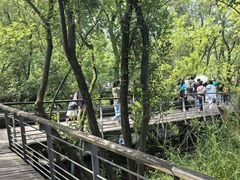 -西湖风景区-江洋畈生态公园