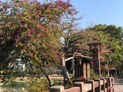 -风云岭森林公园