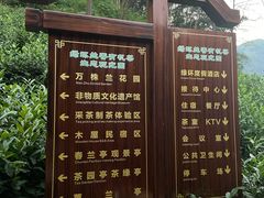 -水墨汀溪风景区
