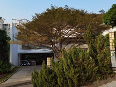 -深圳国际园林花卉博览园