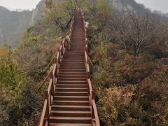 -大岭沟猕猴桃谷风景区