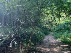 -杭州半山国家森林公园