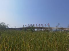 -西安浐灞国家湿地公园