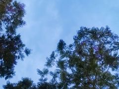 -首开·龙湖成都西宸天街