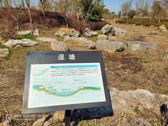 -春花秋色城市公园