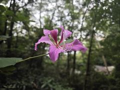 -广州市白云山风景名胜区