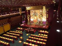 -新加坡佛牙寺龙华院