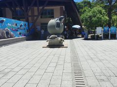 -广东惠东海龟国家级自然保护区
