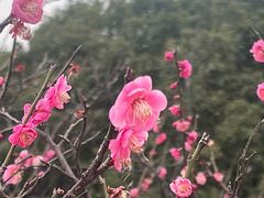 -艾溪湖湿地公园