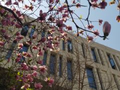 -上海总工会黄浦区工人体育馆-停车场