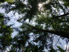 -洛阳白云山景区