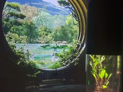 -中国湿地博物馆