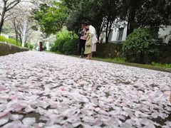-武汉大学-樱园