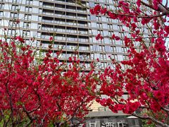 -北京丽晶酒店