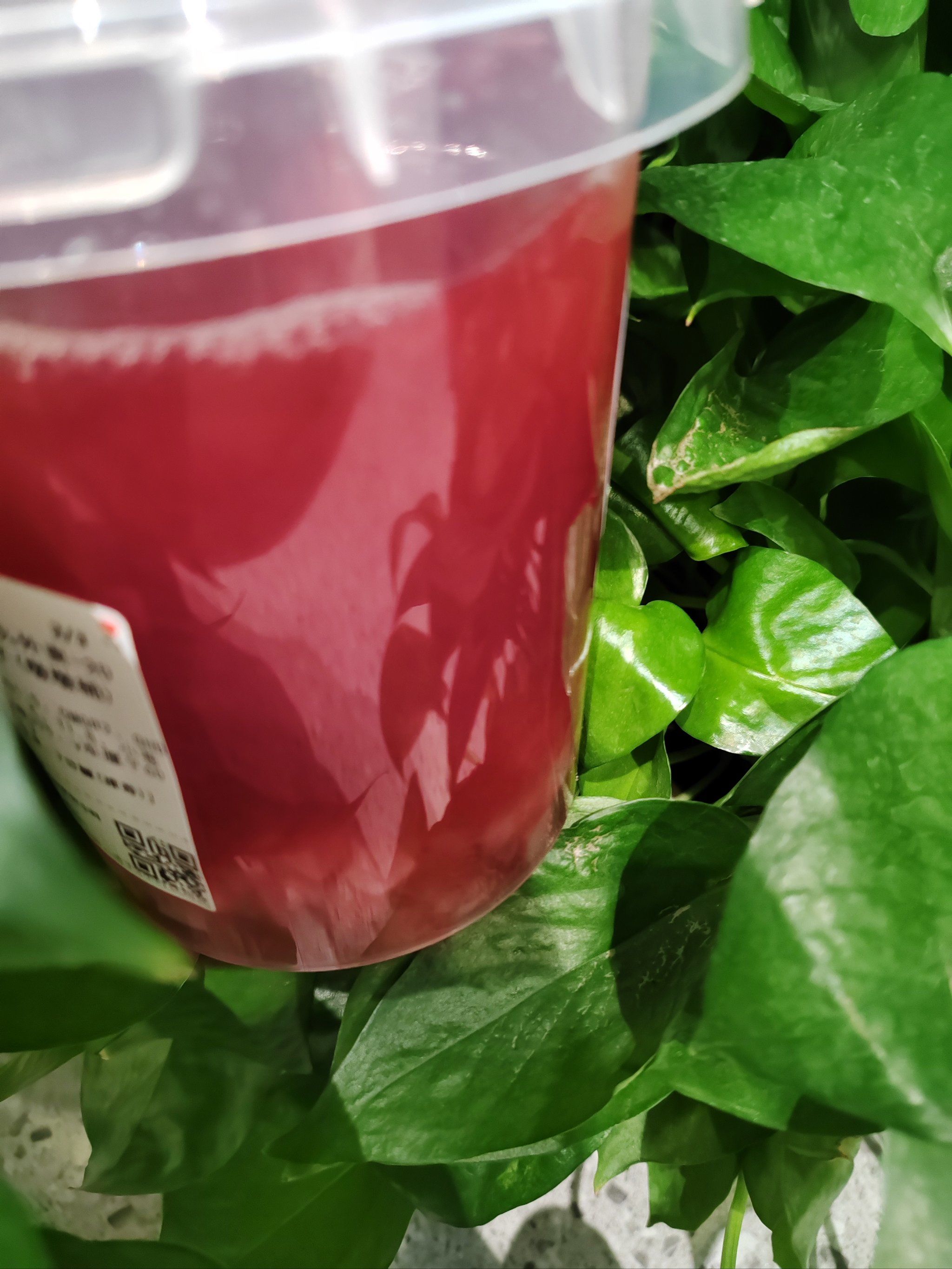 大融城悸动烧仙草