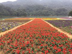 -广州市石门国家森林公园