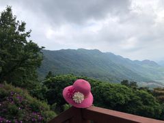 -广州市石门国家森林公园