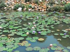 android_upload_pic-月亮湾公园