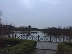 -白鹭湾湿地公园