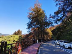 -广州市石门国家森林公园