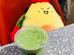 -油梨树AVOCADO TREE(嘉里中心店)