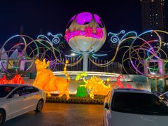 -锦江乐园舞狸花花游园会(夜场专享)