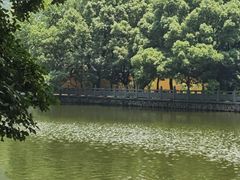 -阿育王寺