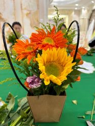 -安琪朵朵独栋花园月子中心