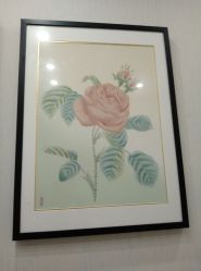 -颜蕾医美·黄金微针·水光·玻尿酸·超声炮