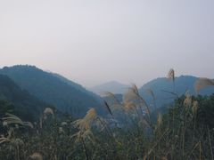 -桃花岭景区