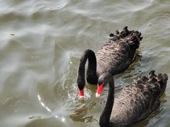 -长春市南湖公园