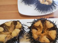 -海胆小馆(东北水饺·春柳店)