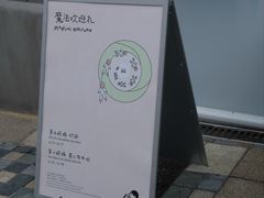 -喜茶(迪士尼小镇DP店)