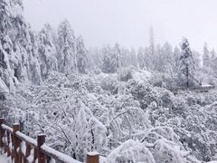 -瓦屋山景区