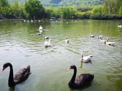 -西安秦岭野生动物园