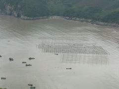 -小皓村
