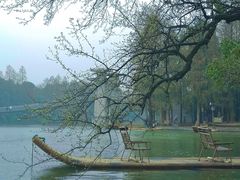 -东湖落雁景区