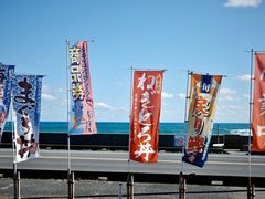 -翼丰日语·日本留学·移民服务中心(宝安校区)