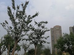 -府河摄影公园