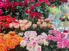 -伊藤洋华堂(温江店)