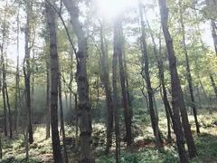 -南京金牛湖风景区