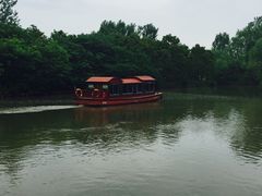 -溱湖国家湿地公园