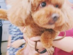 -爱侣宠医·鹦鹉专科·小型哺乳类·异宠专科(灵石路店)