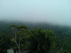 android_upload_pic-三亚亚龙湾人间天堂鸟巢度假村