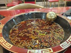 -烧哥美蛙肥肠鱼火锅·十五年社区店